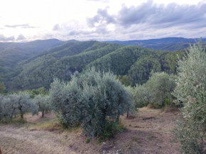 Umbria in Relax! San Venanzo